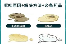 猫咪呕吐的6种情况及是否需要就医（了解猫咪呕吐的常见原因，保护它们的健康）