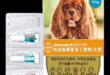 提高狗狗食欲的药物有哪些？（以药物帮助狗狗开胃，健康饮食从此开始）