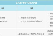 狗狗打狂犬疫苗的最佳时间（为了宠物和人类的安全，及时接种狂犬疫苗至关重要）