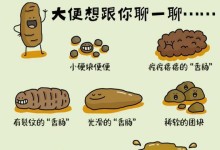 大白熊宠物养护（了解养护技巧，宠物健康无忧）