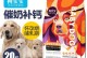 泰迪没奶吃怎么办？找到宝宝下奶的好方法（探索泰迪妈妈下奶秘笈，宝宝健康成长）