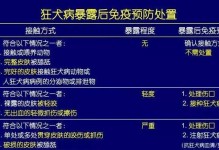 狗生病打针多久能见效？（探究狗打针后药效的持续时间和效果如何）