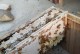 以红腿陆龟用什么箱子养？（选择合适的饲养箱子是关键）