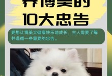 小狗的可爱特点（了解小狗的特性与魅力）