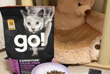 美短猫的理想食物（为您解析美短所需的营养需求和最佳猫粮选择）