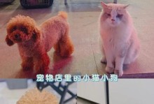 萨摩犬刚买回家后多久可以洗澡？（洗澡时间安排及注意事项）