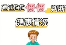 狗狗大便会叫什么反应（探索狗狗大便时可能出现的行为和情绪）