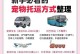 宠物托运注意事项及办理攻略（了解宠物托运前必知的关键事项，助你顺利办理）