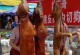 合肥犬业市场全览（探寻合肥市场上卖狗的不同场所）