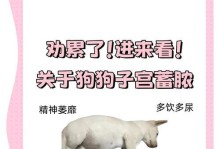探讨狗狗抽搐的原因及处理方法（保护宠物健康，及时处理狗狗抽搐问题）