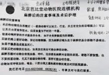 猫后的苏醒时间（探究猫咪后苏醒的时间以及影响因素）