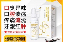 猫咪流口炎的治疗药物指南（选择适合的药物帮助你的猫咪战胜流口炎）