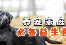 狗吃多了拉稀应该吃什么？（调理狗狗肠胃，选择合适的食物是关键）