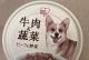 狗狗的饮食搭配（让你的狗狗获得均衡营养，健康成长）