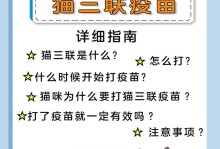 小猫疫苗接种指南（关注小猫疫苗接种的注意事项）