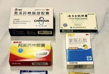 狗狗胃肠炎怎么吃？治疗止吐食谱大揭秘！（狗狗胃肠炎的饮食调理和止吐方法一览）