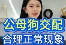 狗的配种注意事项（保障狗的健康与安全）