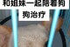 让小狗精力充沛的秘诀（探索给小狗打能量的有效方法）