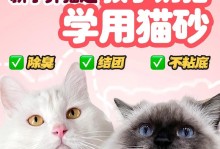 幼猫的排尿频率及其调节（探究幼猫多久尿一次的原因和解决方法）