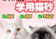 幼猫的排尿频率及其调节（探究幼猫多久尿一次的原因和解决方法）