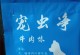 如何有效去除狗身上的虫？（选择适合的药物保护你的宠物健康）