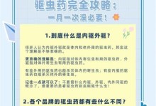 猫内外驱虫的注意事项及费用解析（了解猫咪驱虫的费用和重要事项，为宠物健康保驾护航）
