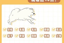 萨摩耶幼犬的科学喂养指南（了解萨摩耶幼犬的饮食需求，让它健康成长）
