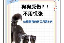 解决狗狗关起来就叫的问题（手把手教你这5步让狗狗乖乖进笼）