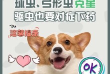 如何预防小狗感染球虫（选择合适的预防药物来保护你的小狗）