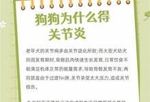 如何加速狗关节炎康复（掌握关键治疗方法，使狗宝宝尽快康复）