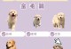 金毛幼犬断奶的最佳时间（金毛幼犬断奶的关键因素及注意事项）
