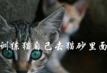 为什么猫不喜欢在猫砂盆里上厕所？（探究猫不使用猫砂盆的原因及解决方法）