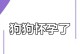 小狗怀孕周期及注意事项（小狗怀孕周期、饮食和保健指南）
