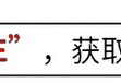 宠物斑点狗便秘怎么办（解决方法大全，让宠物健康无忧）