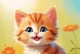 小猫为什么那么喜欢叫？（探究小猫叫声的原因及背后的意义）
