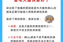 金毛犬常见疾病及预防措施（保护你的金毛犬免受疾病侵害）