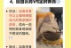 如何准确计算猫咪的食量？（掌握科学方法，保障猫咪的健康生活）