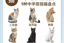 可爱长宠物大盘点！（探索各种品种，寻找你的心动宠物）