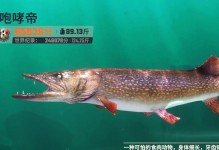 为什么鱼难养？（探究养鱼的挑战与窍门）
