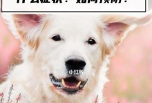 小狗挠伤引发狂犬病的几率有多大？（以宠物为主，预防狂犬病的重要性）