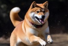 以狗的世界为主题的奇妙色彩（探索狗的世界的多彩色彩）