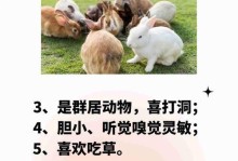 探秘兔兔耳朵边缘的奥秘（为什么兔兔的耳朵边缘如此特别？）