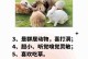 探秘兔兔耳朵边缘的奥秘（为什么兔兔的耳朵边缘如此特别？）