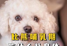 比熊狗的饮食需求及食谱推荐（了解比熊狗的饮食需求，合理安排饮食，让它们健康成长）