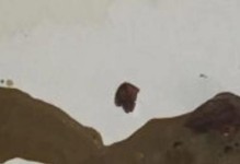 金毛细小病毒潜伏期长达多久？（揭秘金毛细小病毒的潜伏期及其关键因素）