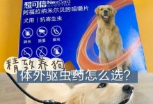 给萨摩幼犬驱虫选择合适的药物（掌握正确的驱虫方法，保障宠物健康）