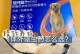 给萨摩幼犬驱虫选择合适的药物（掌握正确的驱虫方法，保障宠物健康）