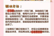 以狗转圈（探索动物行为背后的意义及启示）