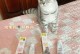 猫咪营养膏和化毛膏的区别（宠物猫咪护理中的两种不同选择及它们的功效）