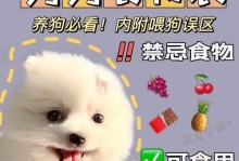 宠物狗不能接触的危险物品（保护你的狗狗健康和安全）